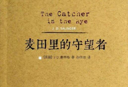 麥田里的守望者讀后感600字