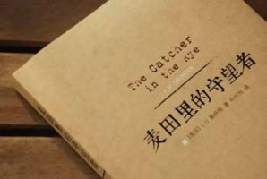 麥田里的守望者讀后感600字