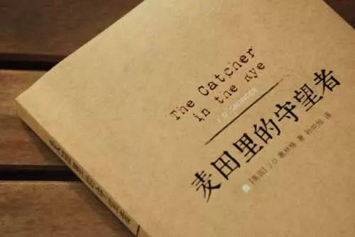 麥田里的守望者讀后感600字