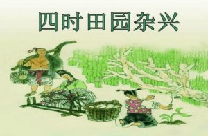 四時(shí)田園雜興(其二十五)改寫作文200字
