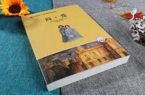 簡愛讀后感300字