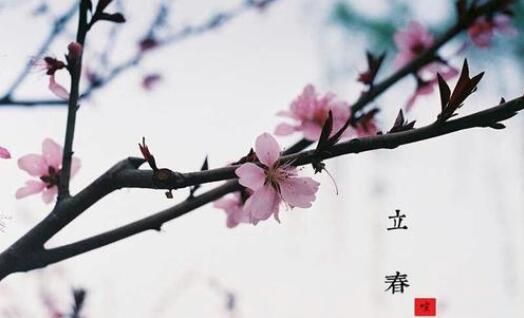 盧仝人日立春古詩(shī)帶拼音版