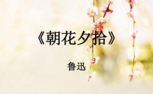 朝花夕拾讀后感500字