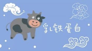乳鐵蛋白有八大功效作用，補(bǔ)充就對了