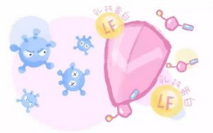 乳鐵蛋白對寶寶有什么好處