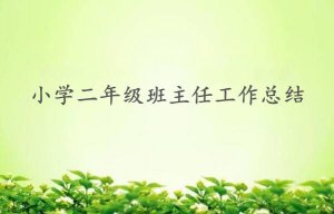 小學(xué)二年級班主任工作總結(jié)