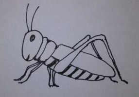 蝗蟲簡(jiǎn)筆畫的畫法圖片