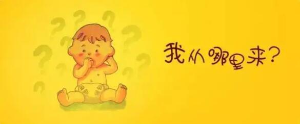 我是從哪里來(lái)的