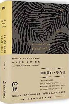 女權(quán)主義是什么？不妨先讀這些小眾詩集