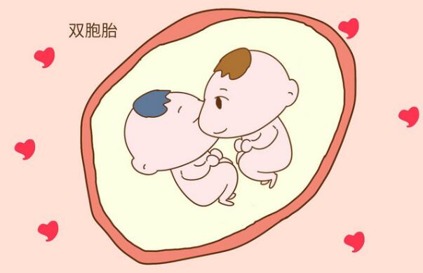 懷雙胞胎多久能檢查出來