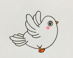 白鴿簡筆畫步驟圖片簡單