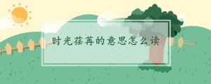 時光荏苒的意思怎么讀
