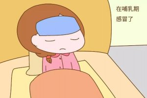 哺乳期感冒發(fā)燒流鼻涕，可以用什么藥？