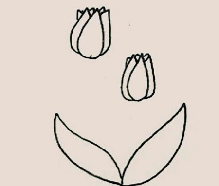 郁金香花朵簡筆畫步驟圖片帶顏色