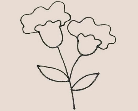 怎么畫雞冠花簡筆畫步驟圖片