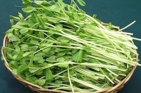 適合寶寶春天吃的5種蔬菜