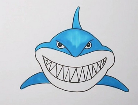 海洋生物巨齒鯊魚簡筆畫怎么畫