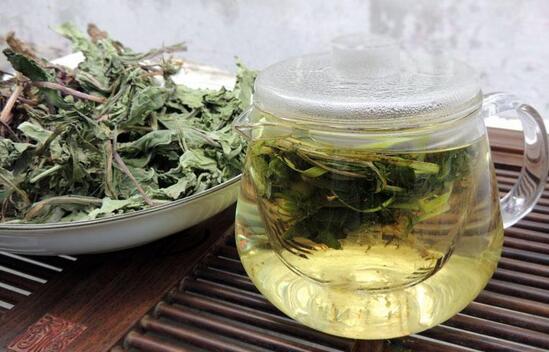 蒲公英茶可以天天喝嗎