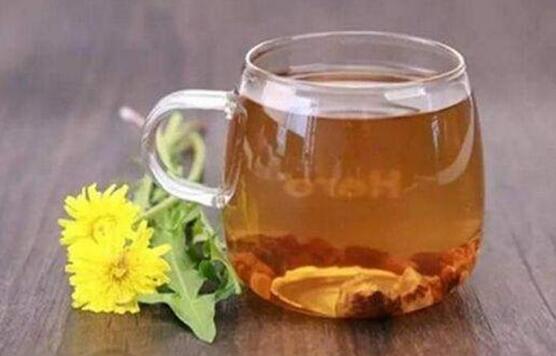 蒲公英茶可以天天喝嗎