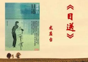 目送讀后感300字