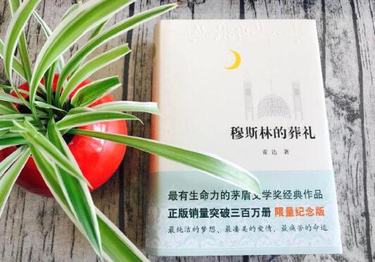 穆斯林的葬禮讀后感800字