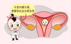 子宮內(nèi)膜薄怎么辦？