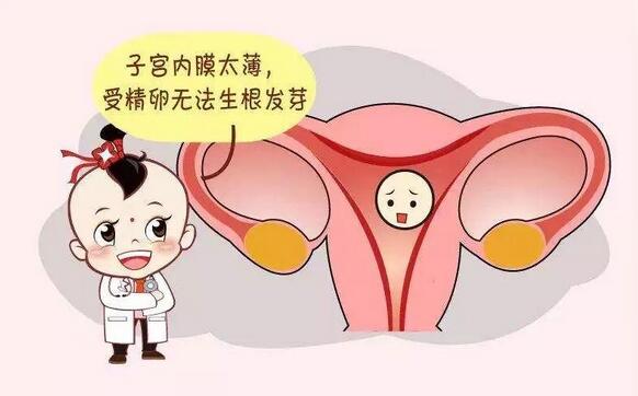 子宮內(nèi)膜薄怎么辦？