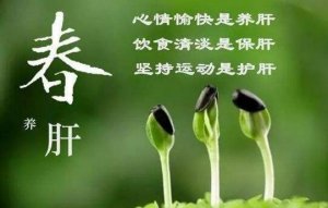 春季如何養(yǎng)肝護(hù)肝