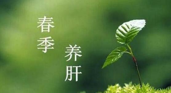 春季如何養(yǎng)肝護肝