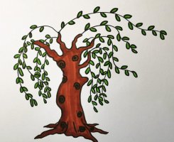 柳樹簡筆畫怎么畫步驟圖片
