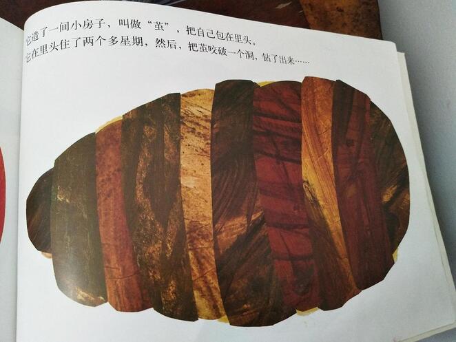 兒童繪本故事推薦《好餓的毛毛蟲》