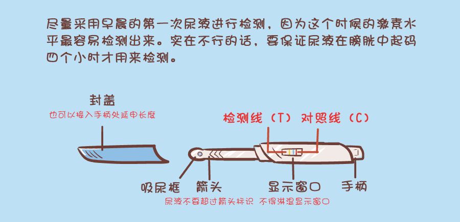驗(yàn)孕棒怎么用才最準(zhǔn)確