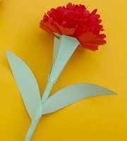 康乃馨折紙?jiān)趺凑劢坛虉D片