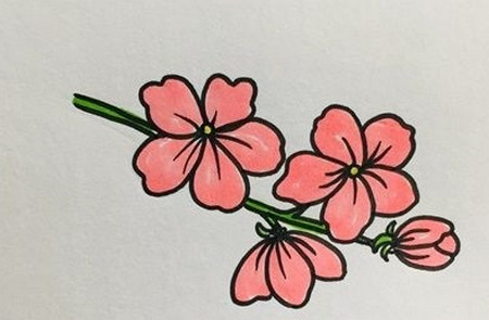 如何畫桃花簡筆畫步驟圖片