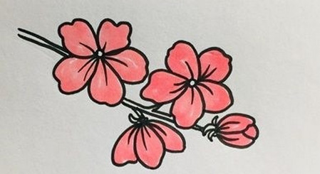 如何畫桃花簡筆畫步驟圖片