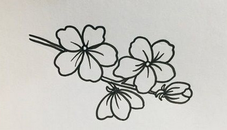 如何畫桃花簡筆畫步驟圖片