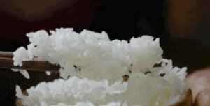 大米生蟲還能吃嗎