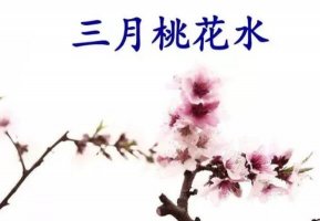 三月桃花水課文原文