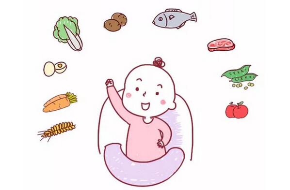 寶寶多大可以吃肉類