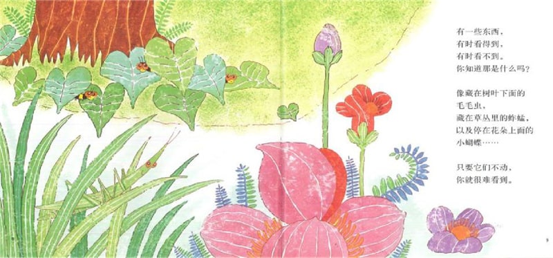 春天的故事繪本《花園里有什么》