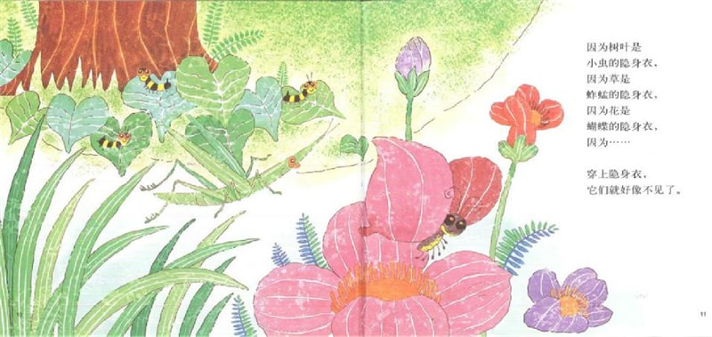 春天的故事繪本《花園里有什么》