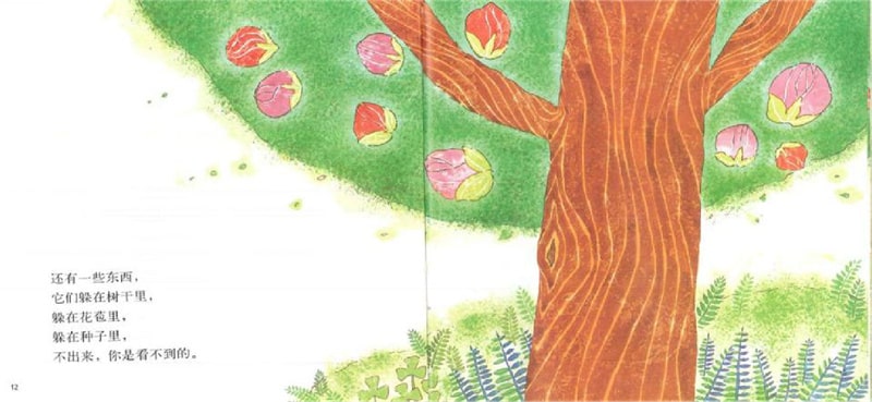 春天的故事繪本《花園里有什么》