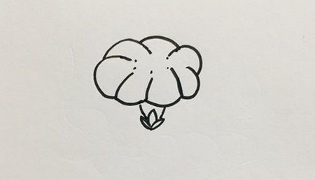 牽牛花簡(jiǎn)筆畫怎么畫簡(jiǎn)單又漂亮