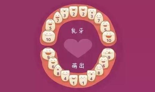 乳牙萌出順序