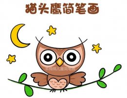 超可愛的貓頭鷹簡筆畫步驟圖片