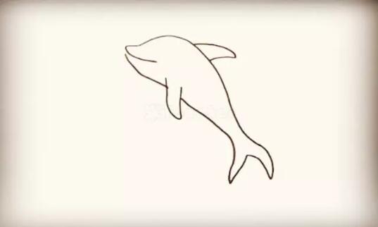 海洋生物海豚簡筆畫圖片