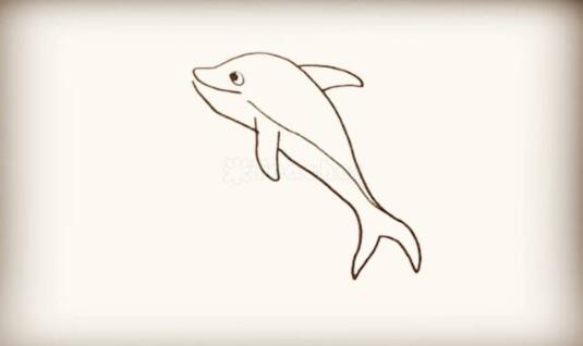 海洋生物海豚簡筆畫圖片