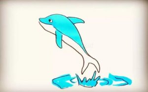 海洋生物海豚簡筆畫圖片