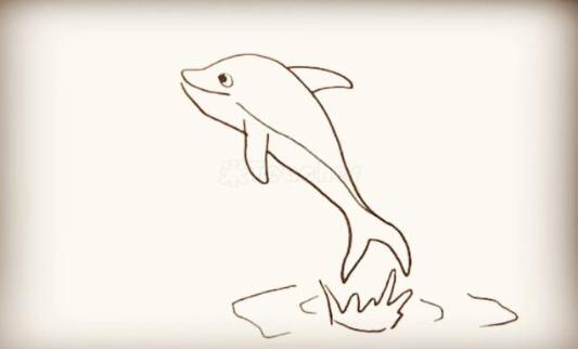 海洋生物海豚簡筆畫圖片