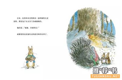 關(guān)于圣誕節(jié)的繪本：這個(gè)圣誕，我們想把美好的都給你